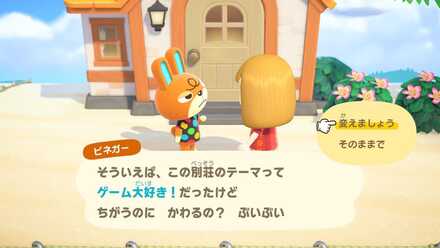 ハピパラ引っ越し画像