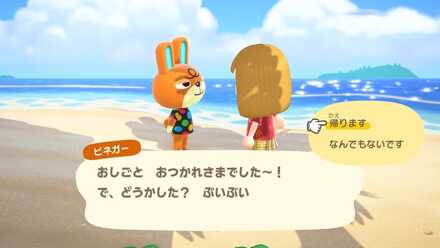 ハピパラ引っ越し画像