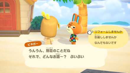 ハピパラ引っ越し画像