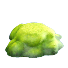 ヒカリゴケのいわ画像