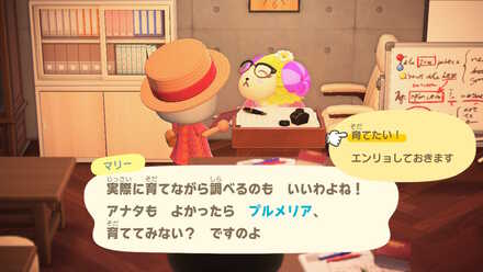 新しい低木の種がもらえる