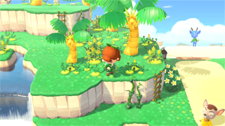 ハピパラ島が最も効率的に入手できる