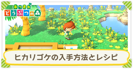 ヒカリゴケのレシピ一覧と効率的な入手方法