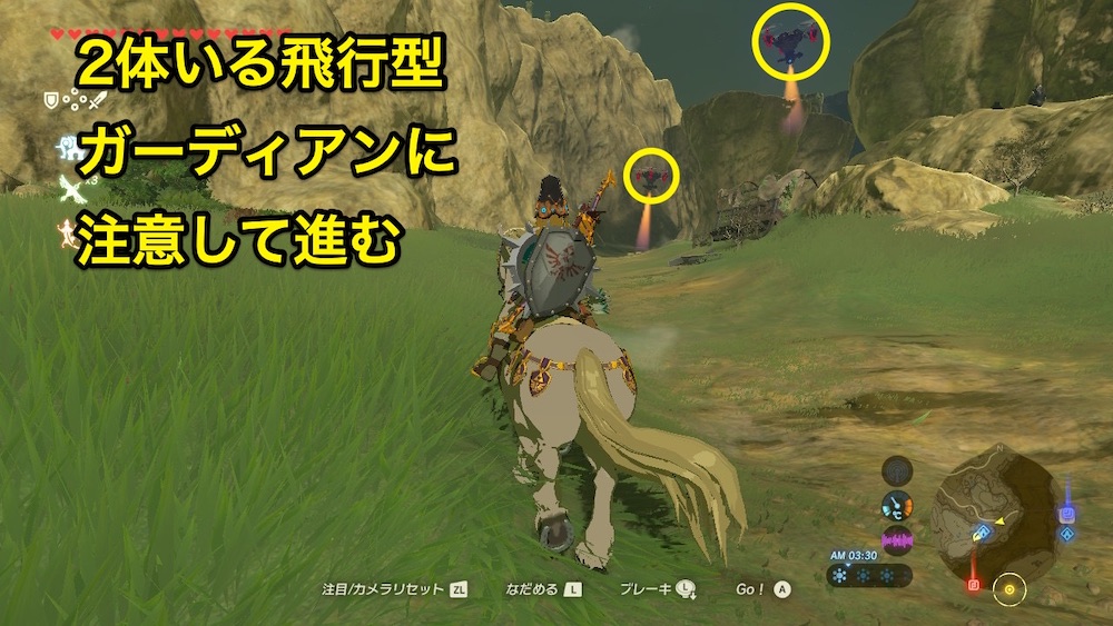 飛行型ガーディアン