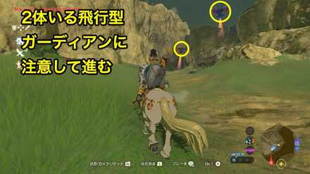 ブレワイの飛行型ガーディアン