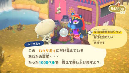 ハッケミィに今日の運勢を占ってもらう