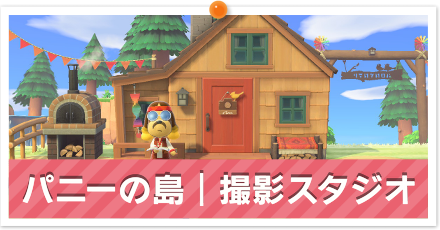 パニーの島撮影スタジオパーシャル.png