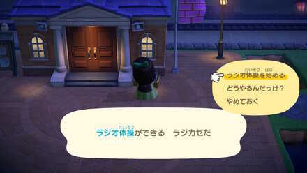 ラジオ体操を行う