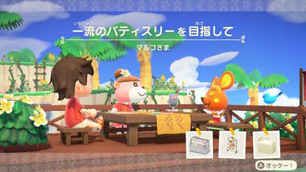 あつ森マルコの別荘希望イメージ