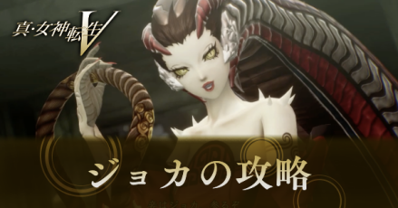 ジョカの攻略と弱点