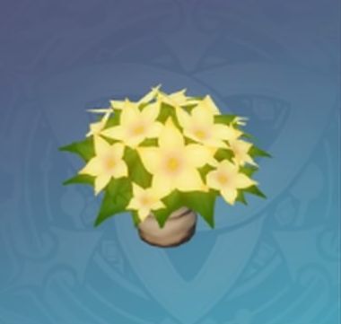 ニシキサヤ・午日の画像