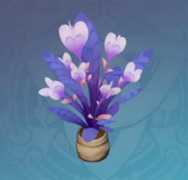 ホシムクゲ・紫綿の画像