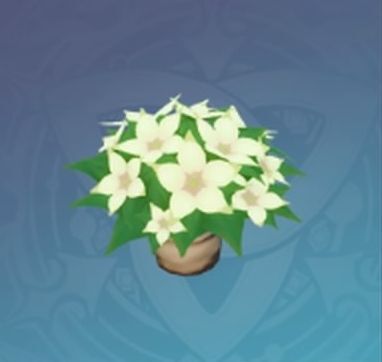 ニシキサヤ・暁粧の画像