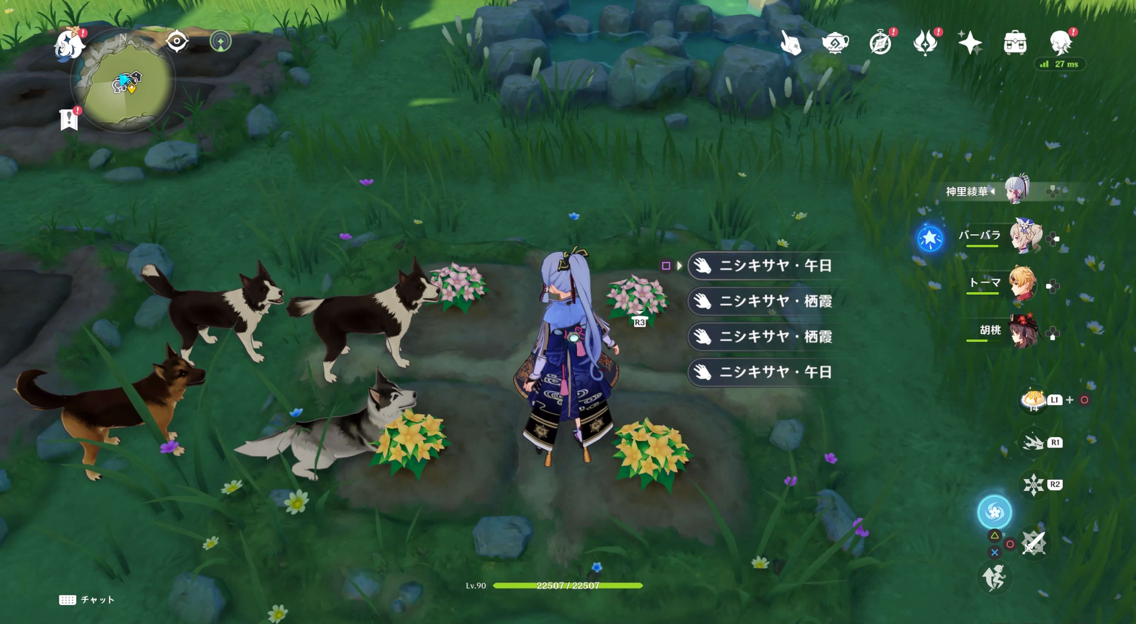 花の色はランダム