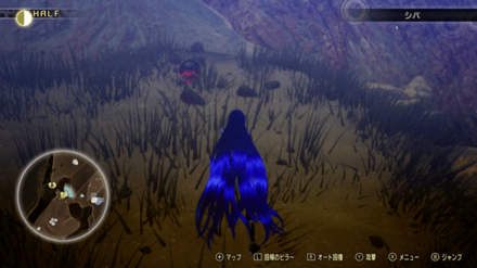 ミマン11の画像