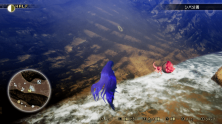 ミマン23の画像