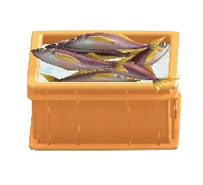 サカナのコンテナのオレンジの画像