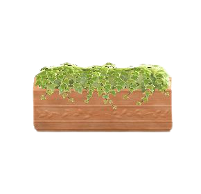 しょくぶつパーテーションのテラコッタの画像