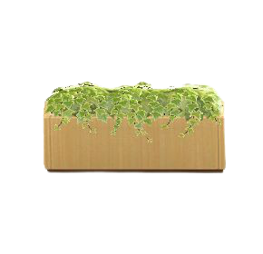 しょくぶつパーテーションのライトウッドの画像