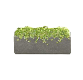 しょくぶつパーテーションのコンクリートの画像