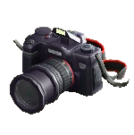 いちがんレフカメラ画像