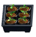 ポットなえセット画像