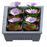 ポットなえセットのグレーの画像