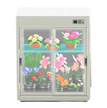 フラワーショーケースのホワイトの画像