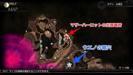 マザーハーロット出現場所