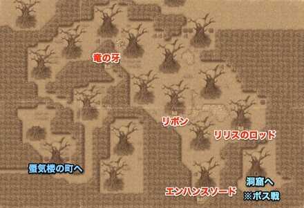 次元の狭間森林のマップ