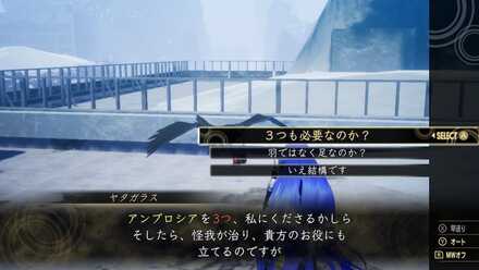 アンブロシアを3個渡すとクエスト完了