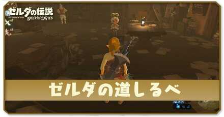 ゼルダの道しるべ