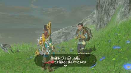 ブレワイのしのび草の君の画像