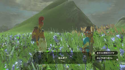 ブレワイのしのび草の君の画像