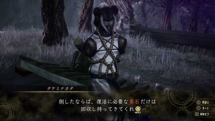 タケミナカタの外見