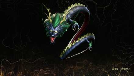 セイリュウ画像