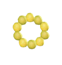 ヒカリゴケのリースのイエローの画像