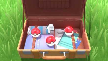 自分の好きなポケモンで問題ない