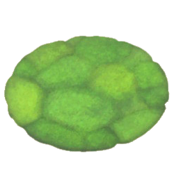 ヒカリゴケのラウンドマット画像