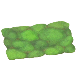 ヒカリゴケのラグ画像