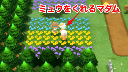 ソノオタウン南西にいるマダムの前でレポート