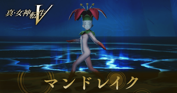 マンドレイク画像