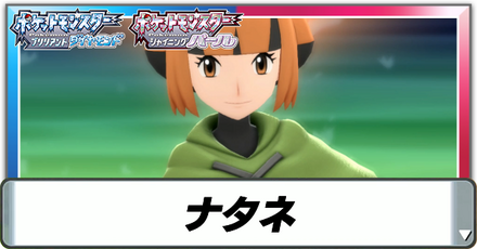 ナタネ