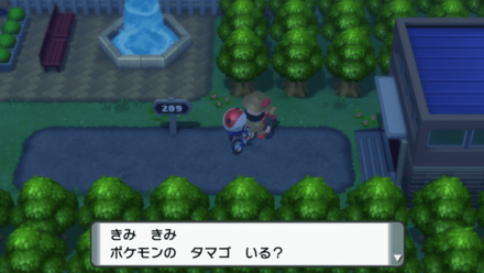 209番道路のゲート前でピンプクのタマゴが貰える