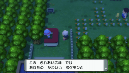 ふれあい広場でポケモンと戯れよう
