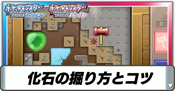 化石の掘り方とコツ