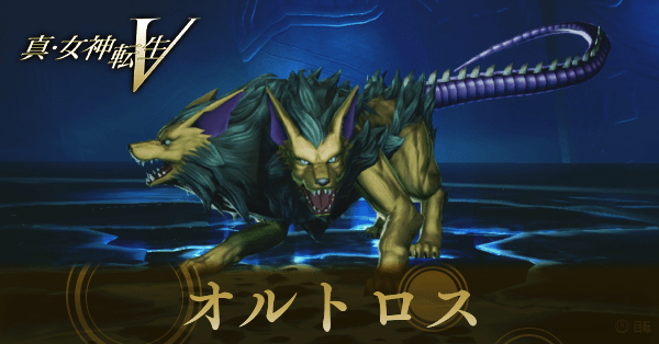 オルトロス画像