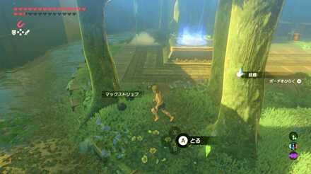 ブレスオブザワイルドの剣の試練極位6階の攻略画像1