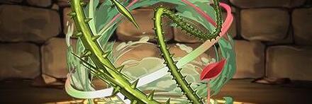 【8081】薔薇棘鞭刃