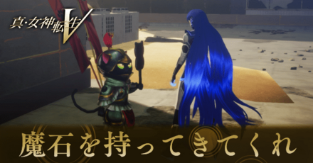 魔石を持ってきてくれ